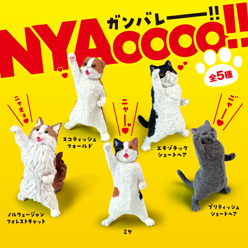 yellnyao1_1.jpg