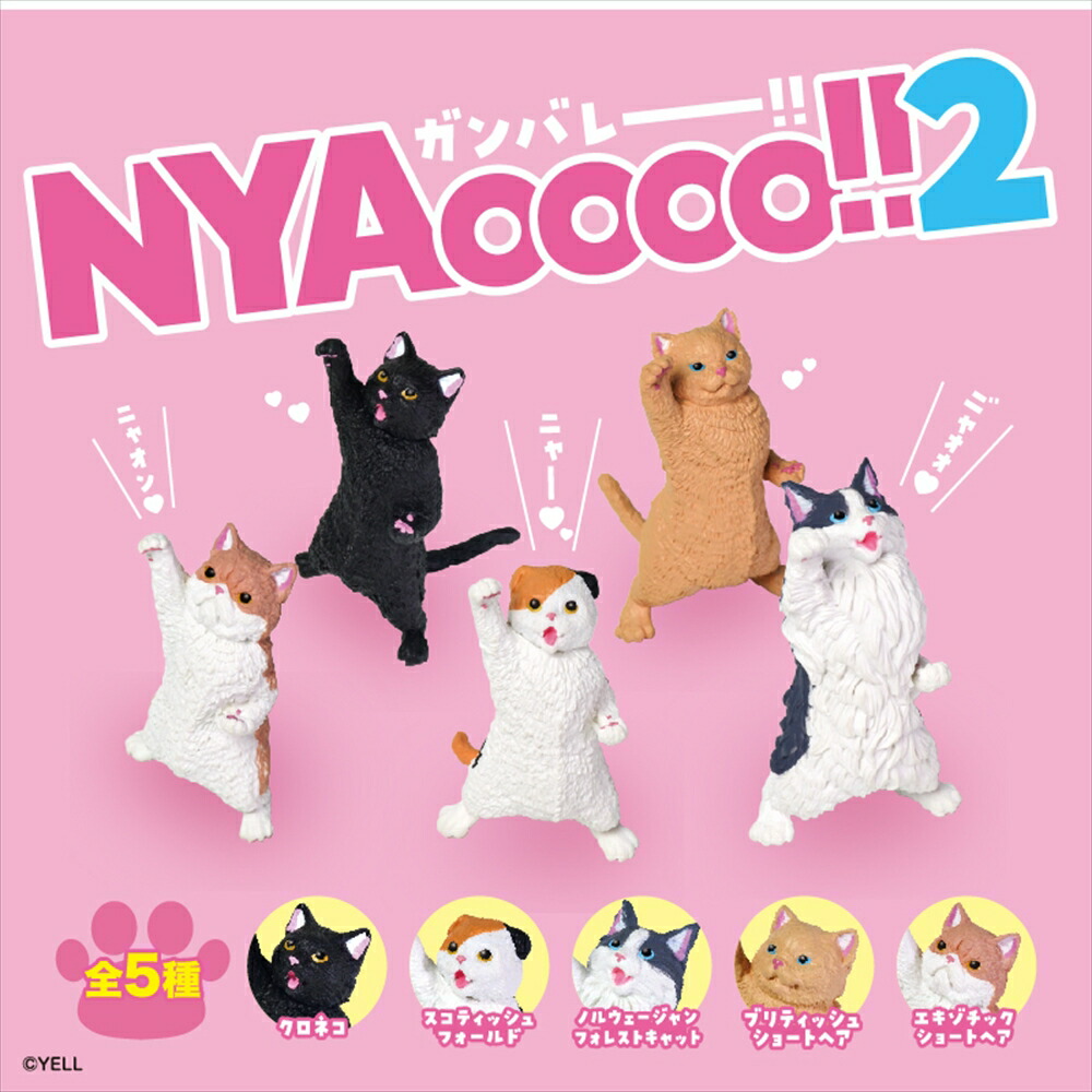 楽天市場】【ネコポス送料無料】 【全5種セット(フルコンプ)】NYAoooo