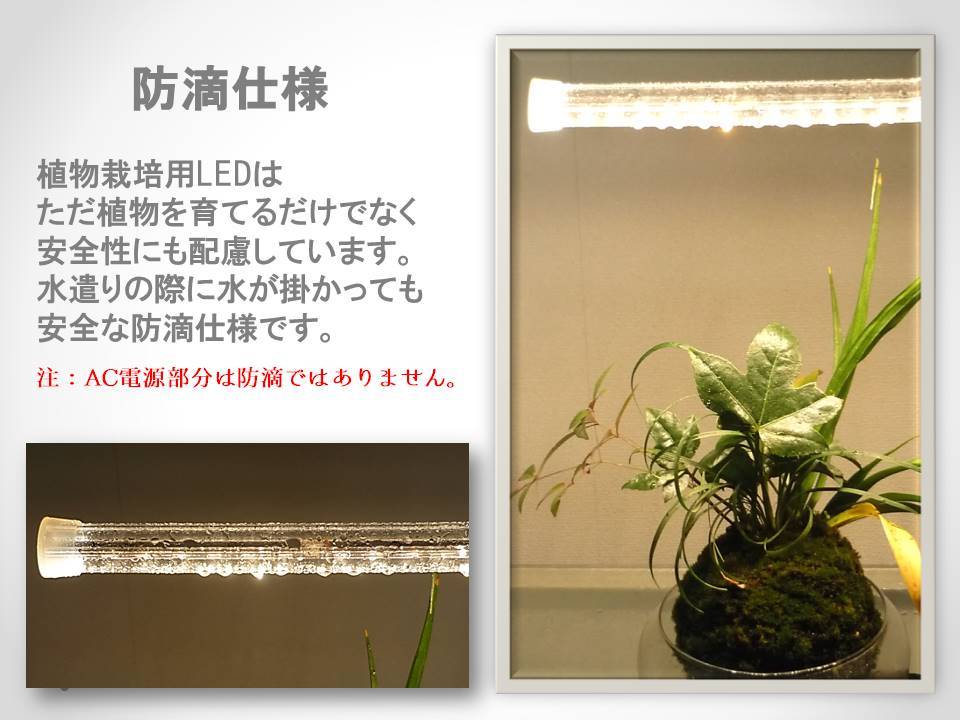 楽天市場 当店オススメ 工学博士の植物栽培用led 長さ６０ｃｍ スイッチ付おひさまのled リビングでレタス イチゴ等を栽培 樹脂製なので軽く 両面テープや結束バンドで色々な所に固定できます 植物育成用led Acアダプター付 Hrdオンライン