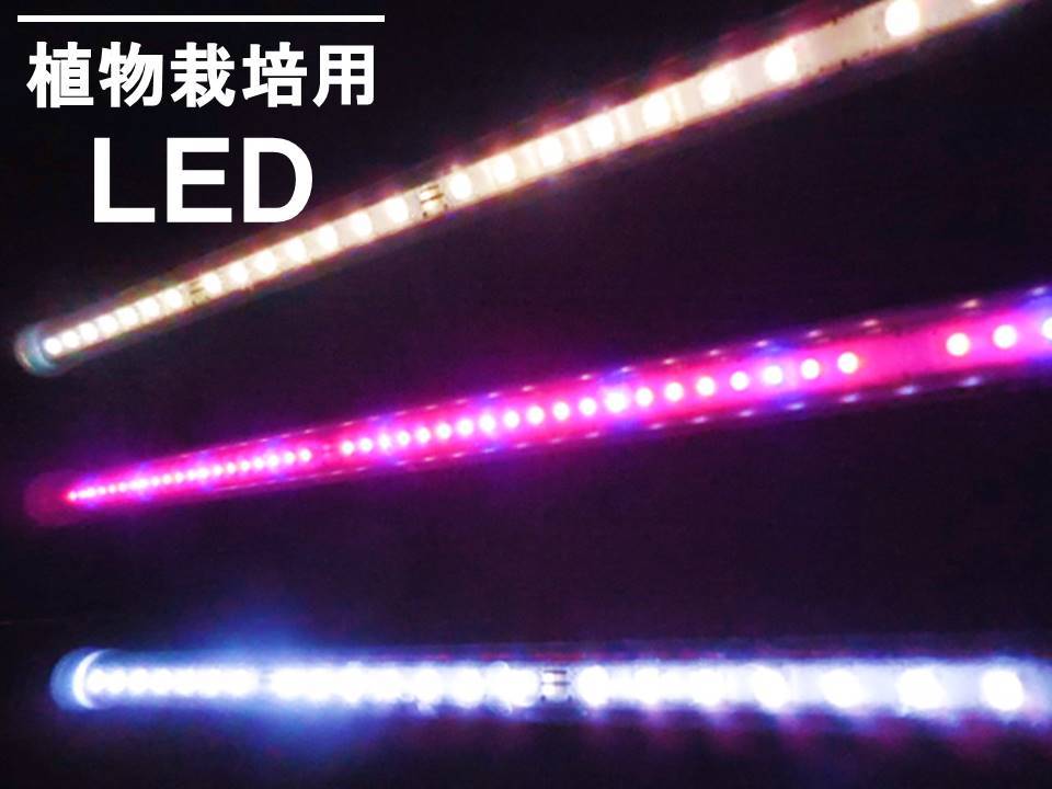 楽天市場 工学博士が作った植物栽培用led長さ２０ｃｍ その名も おひさまのled 樹脂製なので軽く 両面テープや結束バンドで色々な所に固定できます 植物育成用led 観葉植物用led Acアダプター付 Hrdオンライン