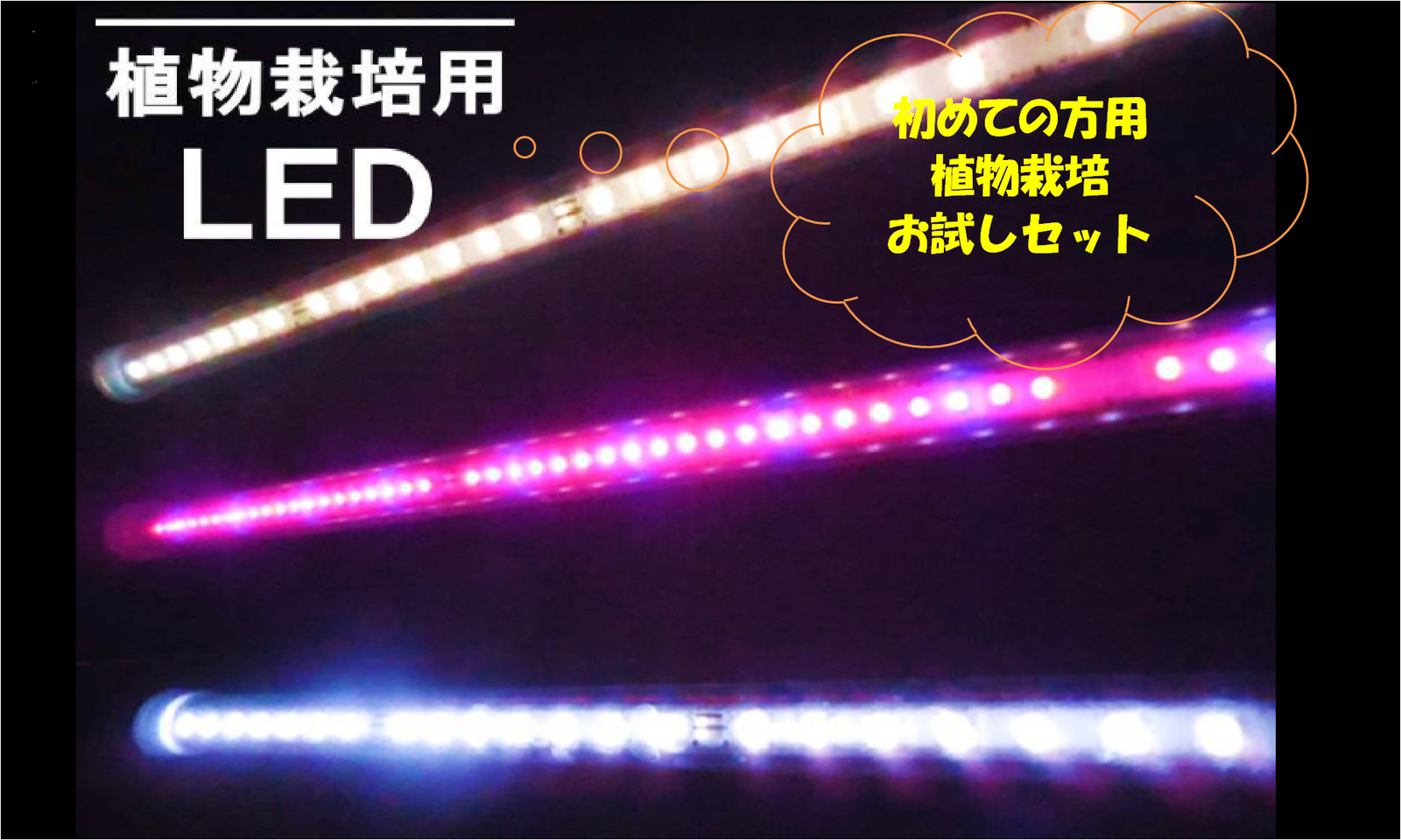 楽天市場 お試しセット 工学博士が作った植物栽培用led 長さｃｍ おひさまのled 4500ｋ1本と7000ｋ1本 長さ16cm おひさまのled赤青1本 の3本セット Hrdオンライン