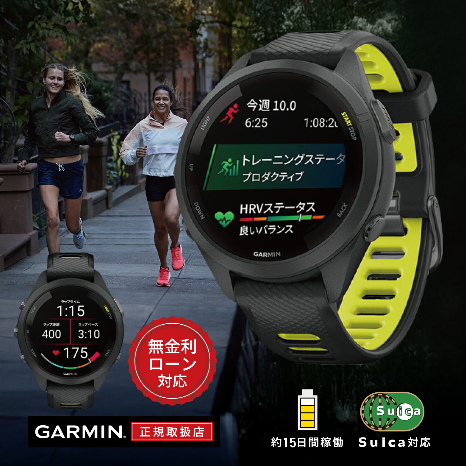 楽天市場】【12/26まで！当選で最大100%ポイント還元】【12回無金利