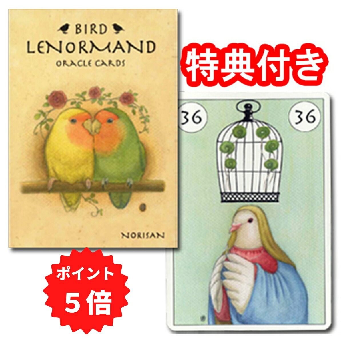 注文 鳥好きさんにはたまらない♡全部違う鳥が描かれた鳥図鑑みたいなトランプ♡ベルギー♡