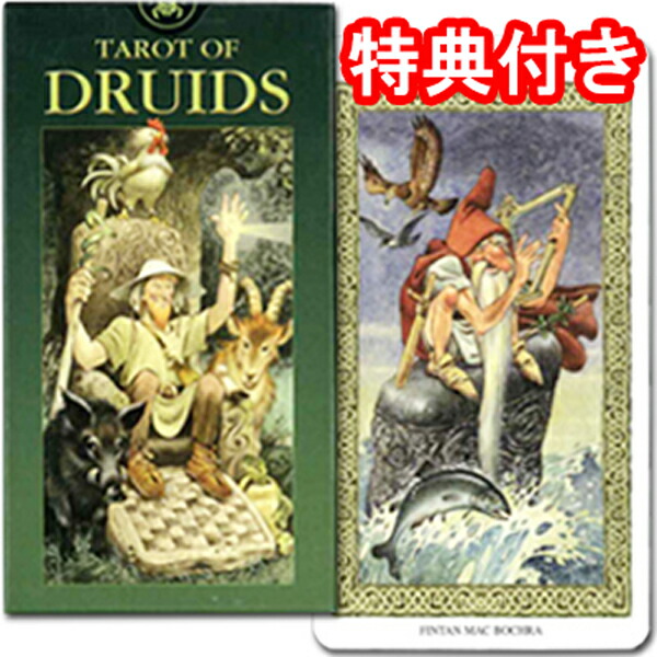 楽天市場】【タロットカード】人形のタロー（タロット）TAROCCO DELLE