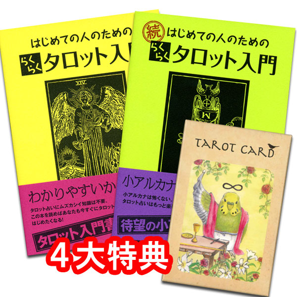 鳥タロットと書籍のセット 鳥タロットのらくらくセット あす楽対応タロットセット ラッキーカードプレゼント タロットカードを選ぶ際 イベント等で多く Painandsleepcenter Com