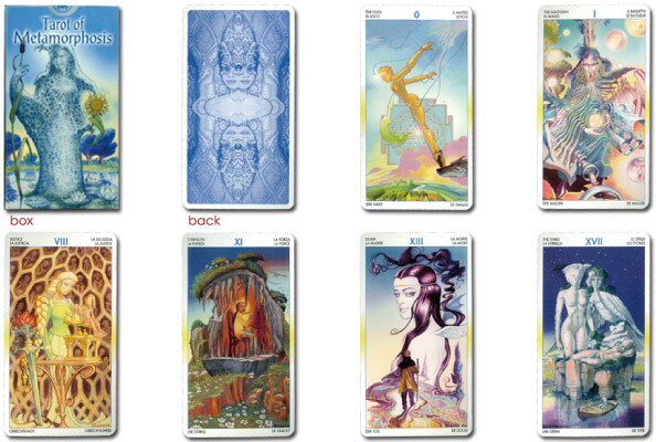 楽天市場 タロット オブ メタモルフォーシス Tarot Of Metamorphosis タロット直輸入専門店 ヘリテイジ