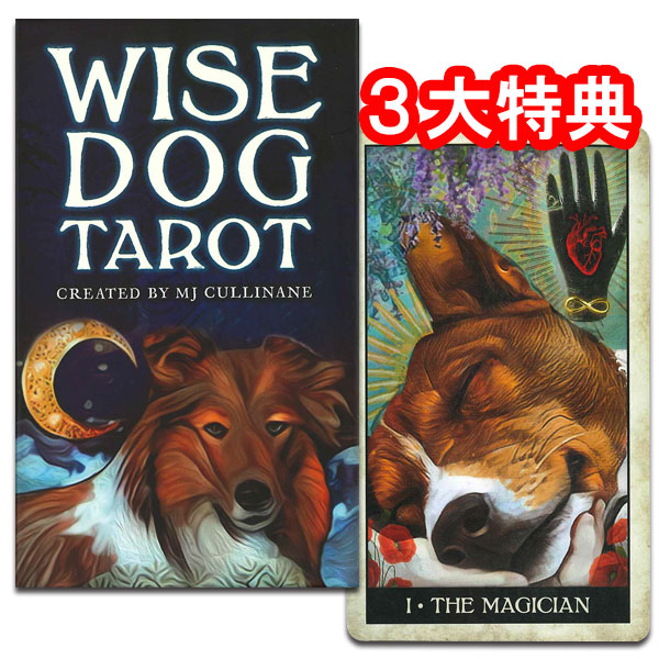 カワイイ犬達のカード ワイズ タロット タロット直輸入専門店 ドッグ