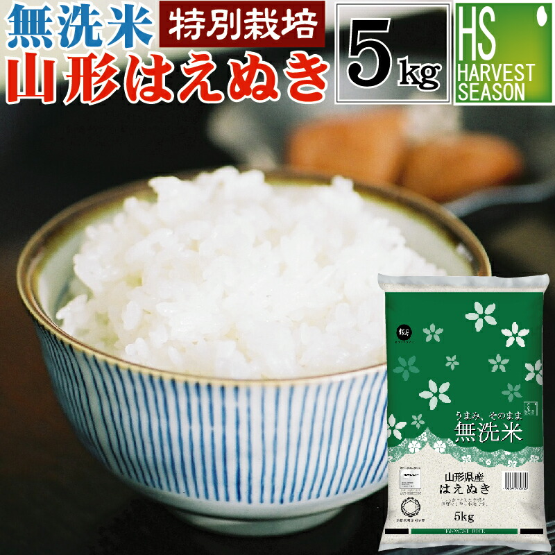 白米　はえぬき　10kg(5kg×2袋) 山形県産 はえぬき 10kg(5kg×2袋) 【精白米】 令和6年産 米 お米