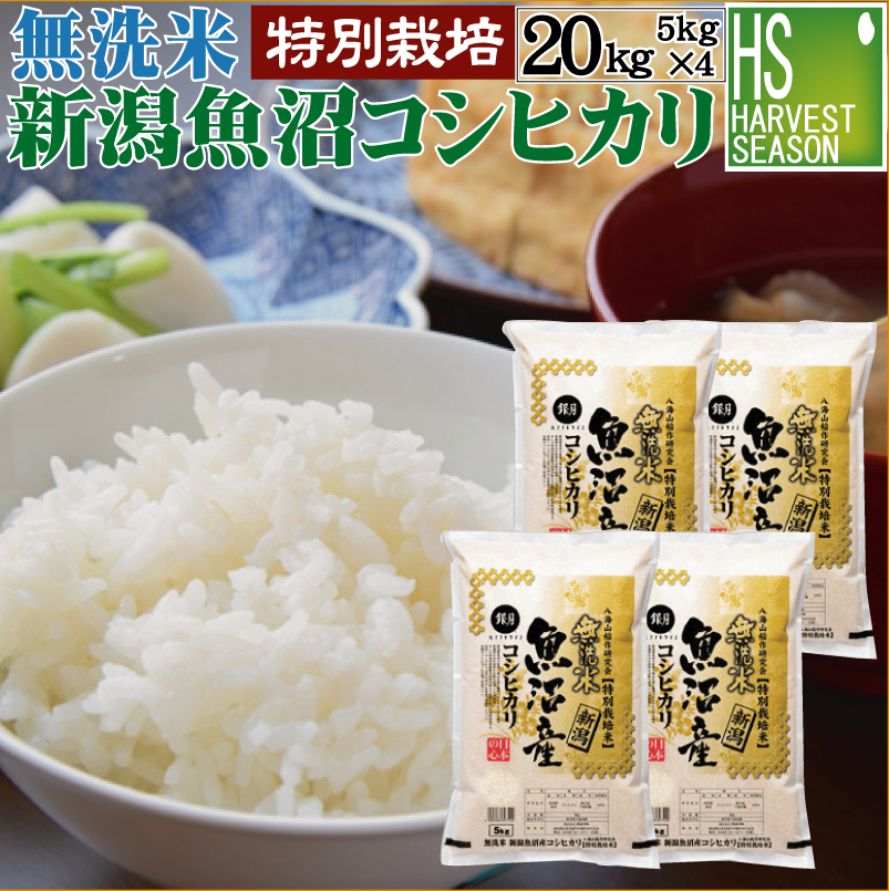 【楽天市場】無洗米 特別栽培米 新潟県魚沼産コシヒカリ 5kg 令和5