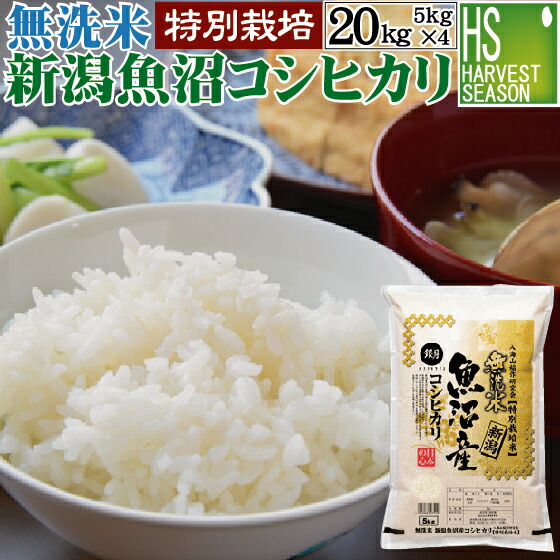 Amazon.co.jp: 山形県産 はえぬき 白米 食味ランキング 特A お米