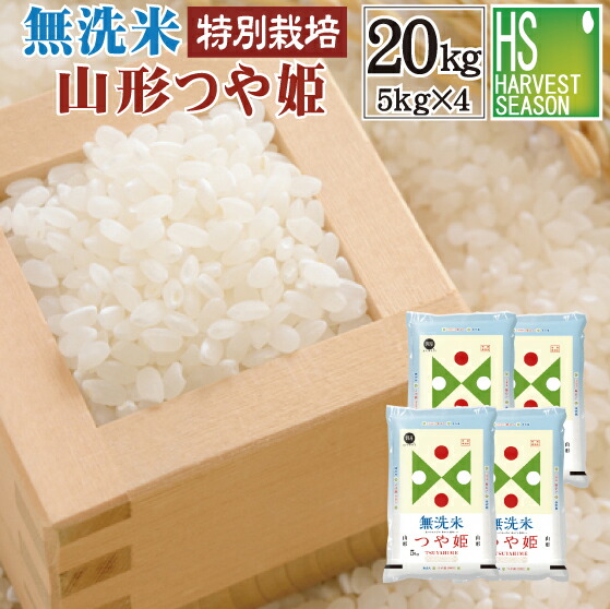 楽天市場】無洗米 特別栽培米 山形県産 つや姫 5kg 令和6年産