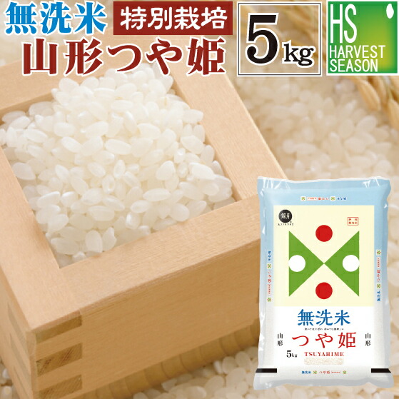 米 令和6年 新潟産 にじのきらめき 10kg 5kg×2 新潟県産 米10
