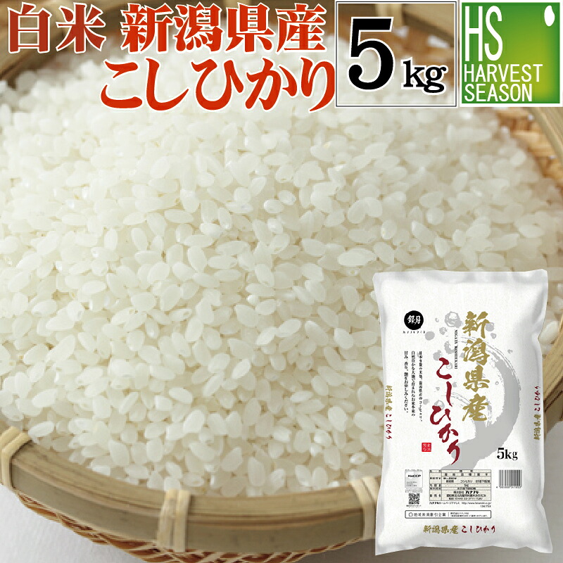 令和7年産 白米 精白米 新潟県産コシヒカリ　5kg 【送料無料】 【ハーベストシーズン】[北海道沖縄へのお届けは別途送料760円] 【コンビニ受取対応商品】