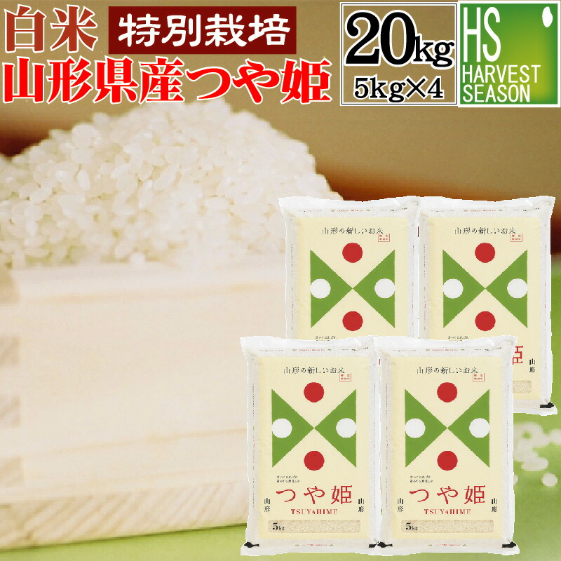 山形県産新米つや姫30kg(5kg×6袋)白米 つや姫 米 お米 5kg×6 玄米30kg 令和6年産 山形産 白米・無洗米