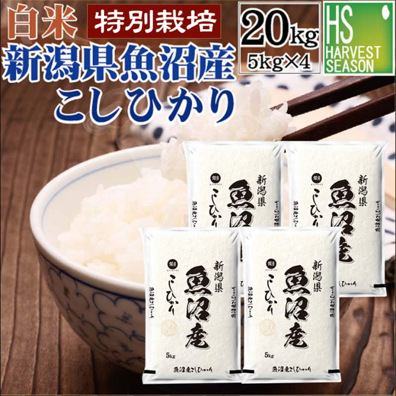 令和5年 新潟産コシヒカリ 特別栽培米 20kg 精米無料 - 米