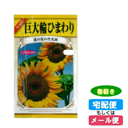 ひまわり#プロフ必読#ページ ひまわり~プロフ必読~ の出品した商品 - メルカリ