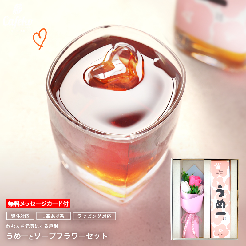 楽天市場 本格 梅酒 うめ一 Ume Hajime ベトナム 新商品 500ml ベトナムの梅を使った梅酒 人気 お酒 ギフト プレゼント プチギフト 母の日 女性 21 珍しい焼酎ギフト フエフーズ