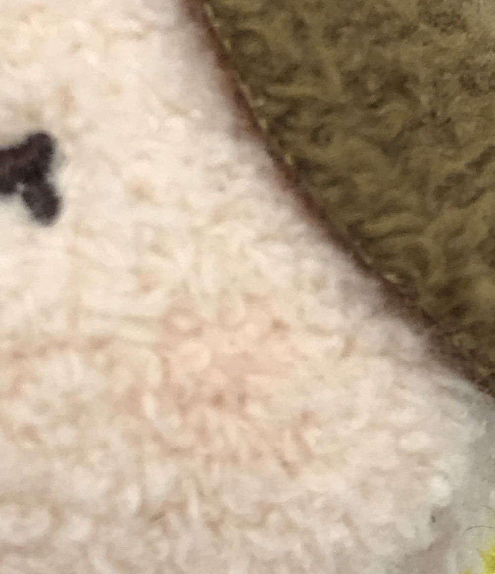 楽天市場 中古 ぬいぐるみ ディズニー D23 Expo Japan 18 ツムツム アラン メンケン シリーズセット ぬいぐるみ ハグオール ホビー