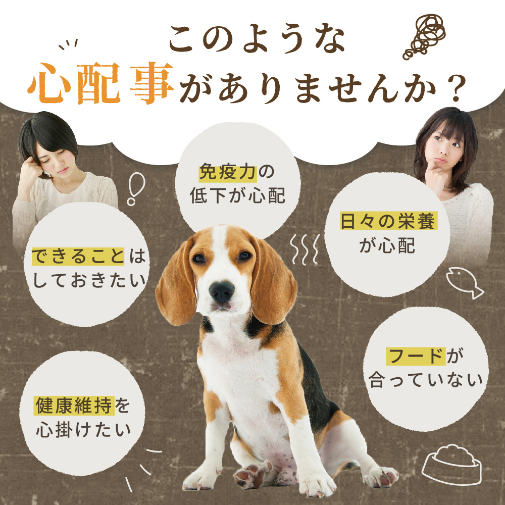 楽天市場 Aikona あいこな 犬用 サプリメント 3袋セット 送料無料 公式 食ふん 食糞 涙やけ アレルギー 下痢 軟便 便秘 おなか 整腸 腸活 モリンガ 乳酸菌 核酸 Hugme Shop