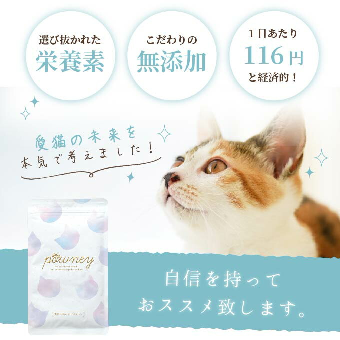Powney パウニー 猫用 サプリメント 3袋セット 送料無料 公式 腎不全 尿路結石 膀胱炎ケア Mavipconstrutora Com Br