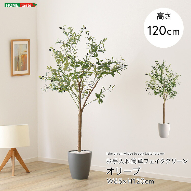 お手入れ簡単フェイクグリーン オリーブ Sサイズ(120cm)|Huit Colline(ユイットコリーヌ)