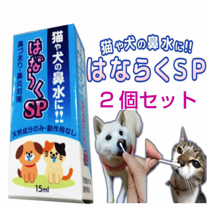 楽天市場 はならくsp 2個セット 猫の鼻水に 犬の鼻水に 猫の鼻水対策 犬の鼻水対策 鼻づまり ペットの鼻水対策 鼻炎 花粉症 副作用なし 眠くならない 猫の鼻水対策商品 犬の鼻水対策商品 鼻炎薬ではない 花粉症薬ではない 鼻水鼻づまり専門店ふくちゃん本舗