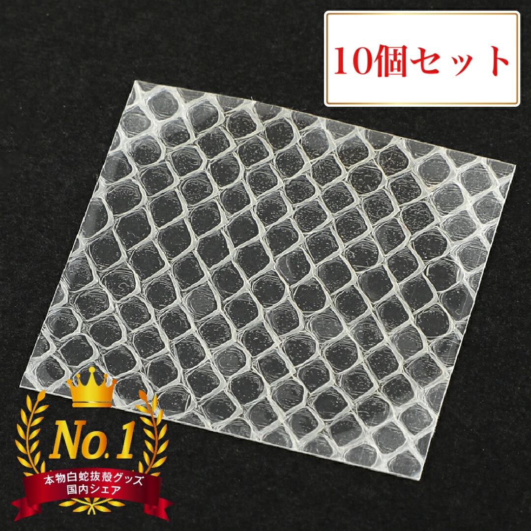 白蛇 個セット 祈願 抜け殻 神社 白ヘビ 一粒万倍日 天赦日 寅の日 開運 置物抜殻 しろへび 風水 金運アップ 祈願済み 白へび 蛇 抜殻 縁起物 本物 宝くじ 脱殻 金運 開運 お金 金 浄化 お金 100万円 脱皮 脱け殻 招き猫