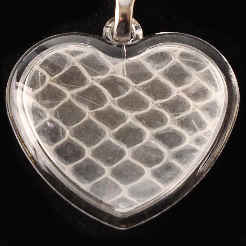 楽天市場】金箔 白蛇 抜け殻 抜殻 脱け殻 脱殻 抜け皮 グッズ