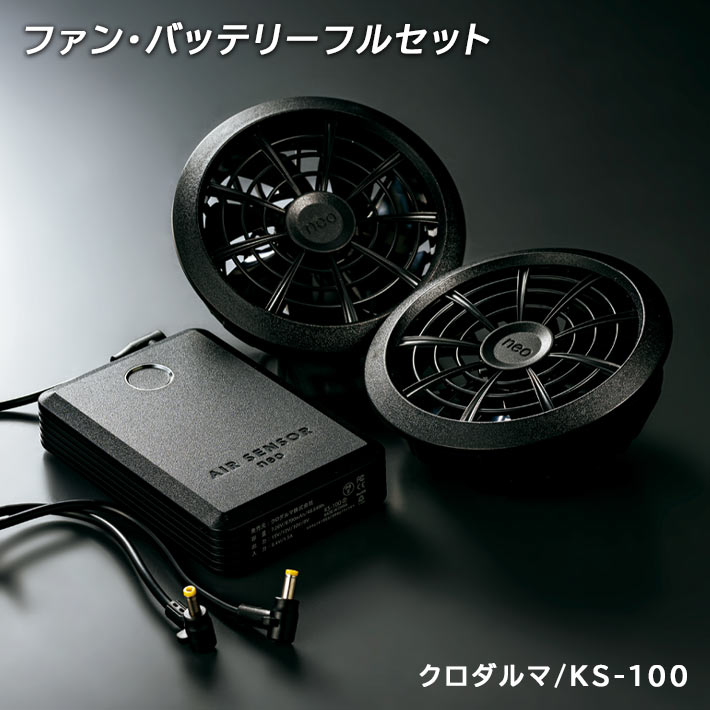 ks100-01.jpg