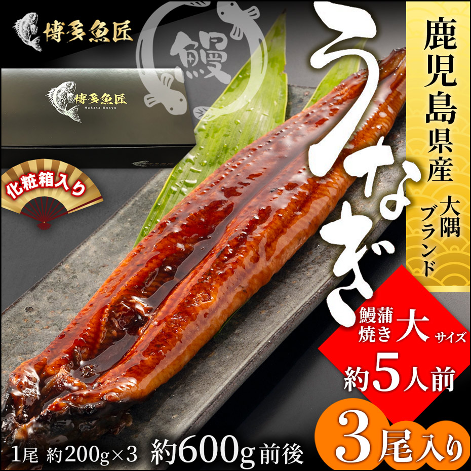 68%OFF!】 丑の日 お中元 鹿児島県産 大隅産 鰻蒲焼き 3尾入 1尾 約200g 有頭 うなぎ 大隅半島 大隅ブランド 海鮮 海産物 御中元  夏ギフト ギフト 贈答用 プレゼント ビール qdtek.vn