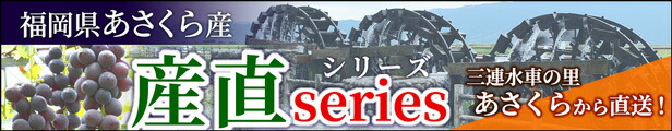 楽天市場】いかしゅうまい 20粒入 イカ 焼売 シュウマイ 家庭用 お取り寄せ グルメ 冷凍 おつまみ ビール 送料別 : 博多魚匠