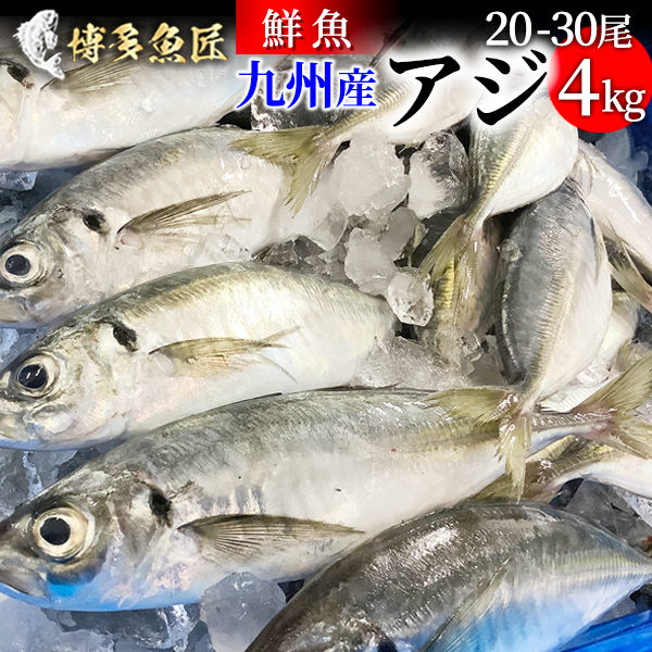 楽天市場 九州産 天然真アジ 4kg 1匹あたり 0g 300g前後 市場直送 鮮魚 鯵 刺身 アジフライ 海産物 海鮮 お取り寄せ おつまみ 博多 魚匠