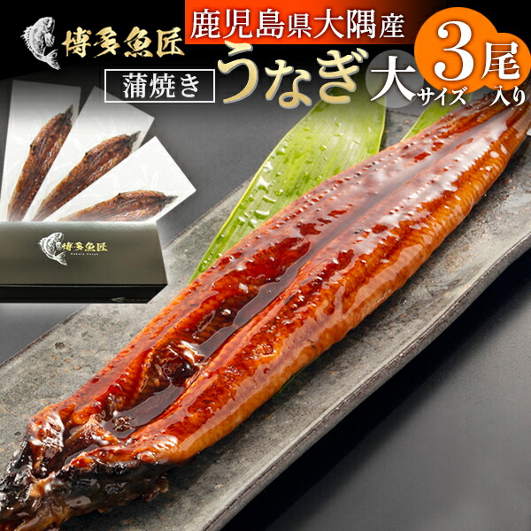 68%OFF!】 丑の日 お中元 鹿児島県産 大隅産 鰻蒲焼き 3尾入 1尾 約200g 有頭 うなぎ 大隅半島 大隅ブランド 海鮮 海産物 御中元  夏ギフト ギフト 贈答用 プレゼント ビール qdtek.vn