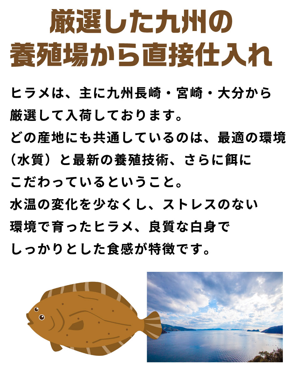 ヒラメ 刺身 九州 贈答用 900g前後 フィレ 活〆 ビールに合う 冷蔵 鮮魚 食べ物