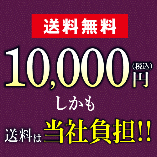 P5倍 焼酎セット 必ず 百年の孤独 が入ってます 厳選 プレミア焼酎 3本 飲み比べセット百年の孤独 野うさぎの走り プレミアム徹宵 芋 米 いも焼酎 こめ焼酎 黒木本店6 22 火 00 26 土 1 59迄 Rvcconst Com