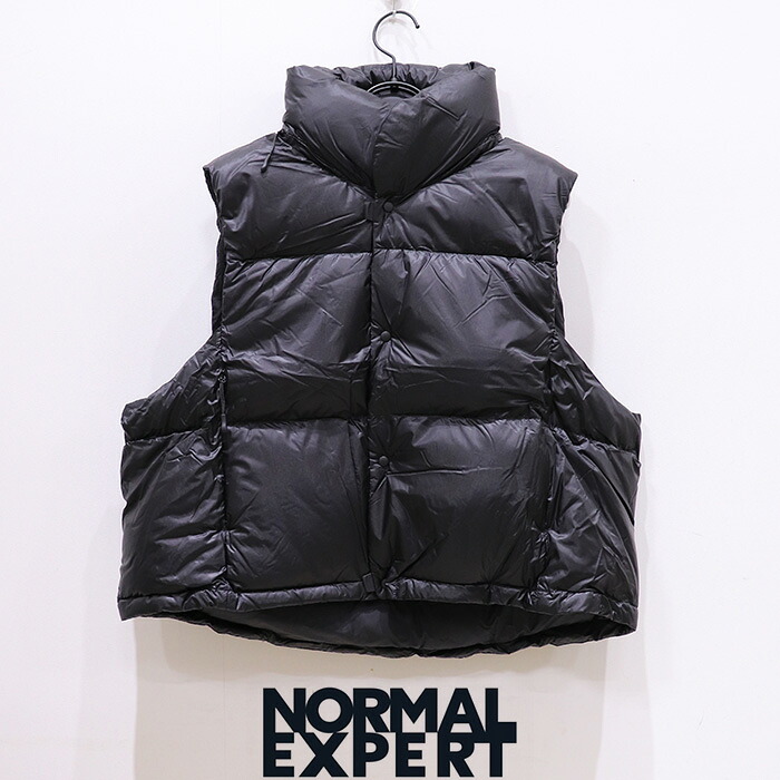 NORMALEXPERT（並大抵老練家）FLOAT PANEL NEX24-D01 落ち込むより良い 日常 デイリー御召しもの