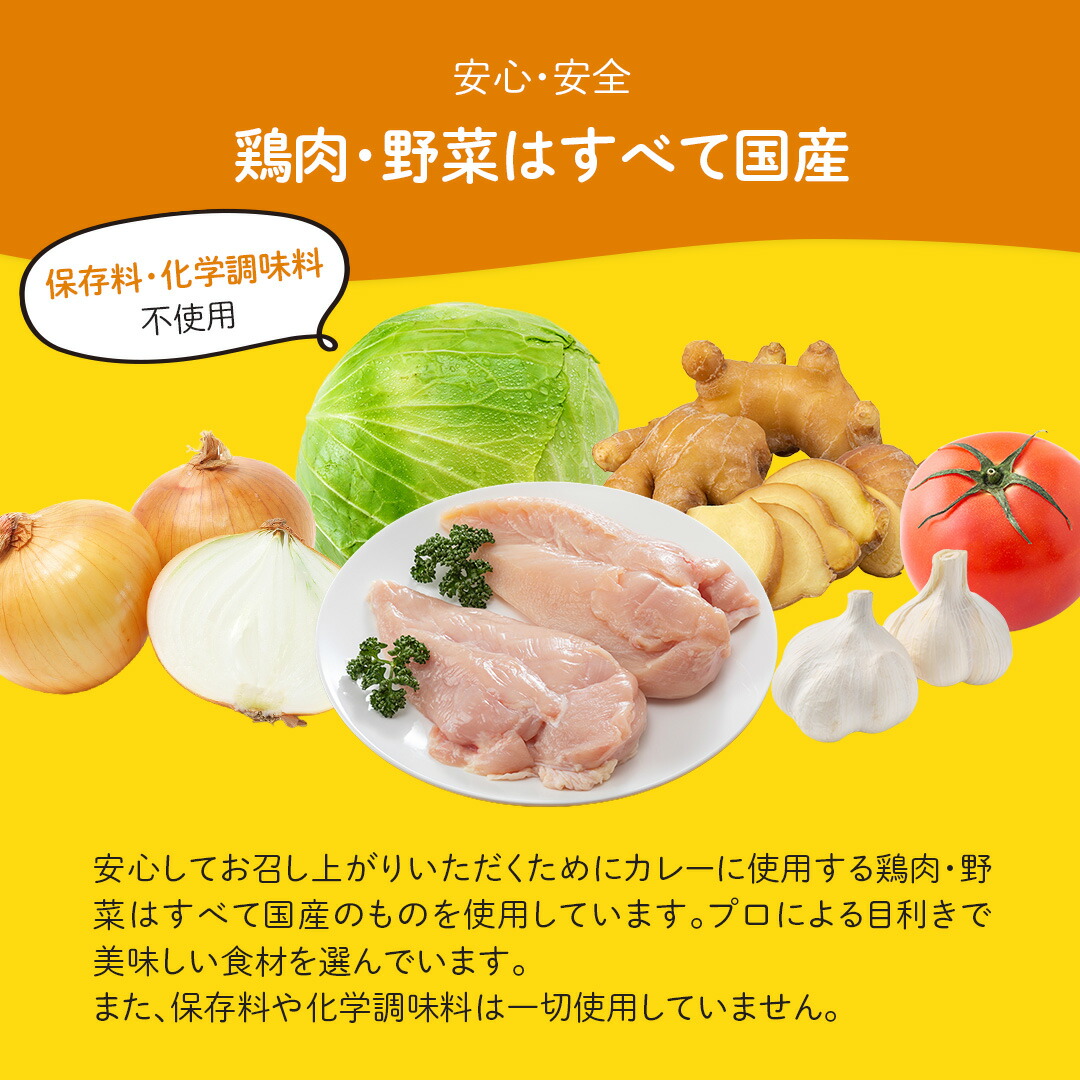 【送料無料】ネパール人監修鶏キーマカレー200g×10袋井出ちゃんぽん鶴屋ギフト食べ物父の日プレゼントカレーレトルト食品