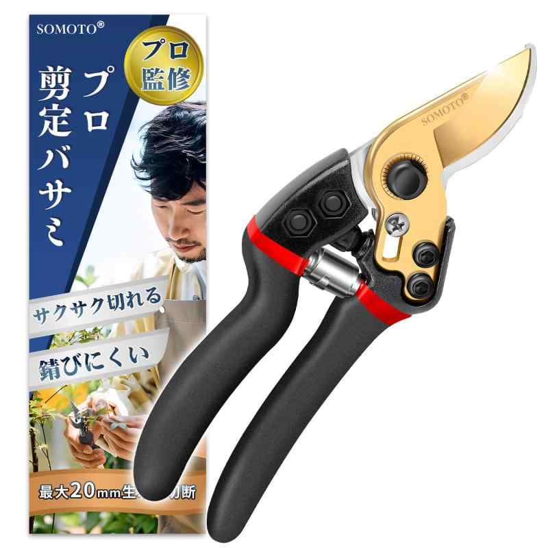 剪定鋏 アソート A型改良剪定鋏 8インチ金止（本体・パーツ類） – amenoma