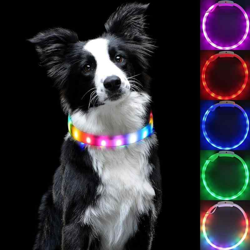 首飾り 犬用 LED 発しる USB 申し受ける式 水筋 点火装置 愛玩動物 ほっつき歩く用 小夜 安全性のある 高視認性 合わせる能力のある 軽さ 耐久性