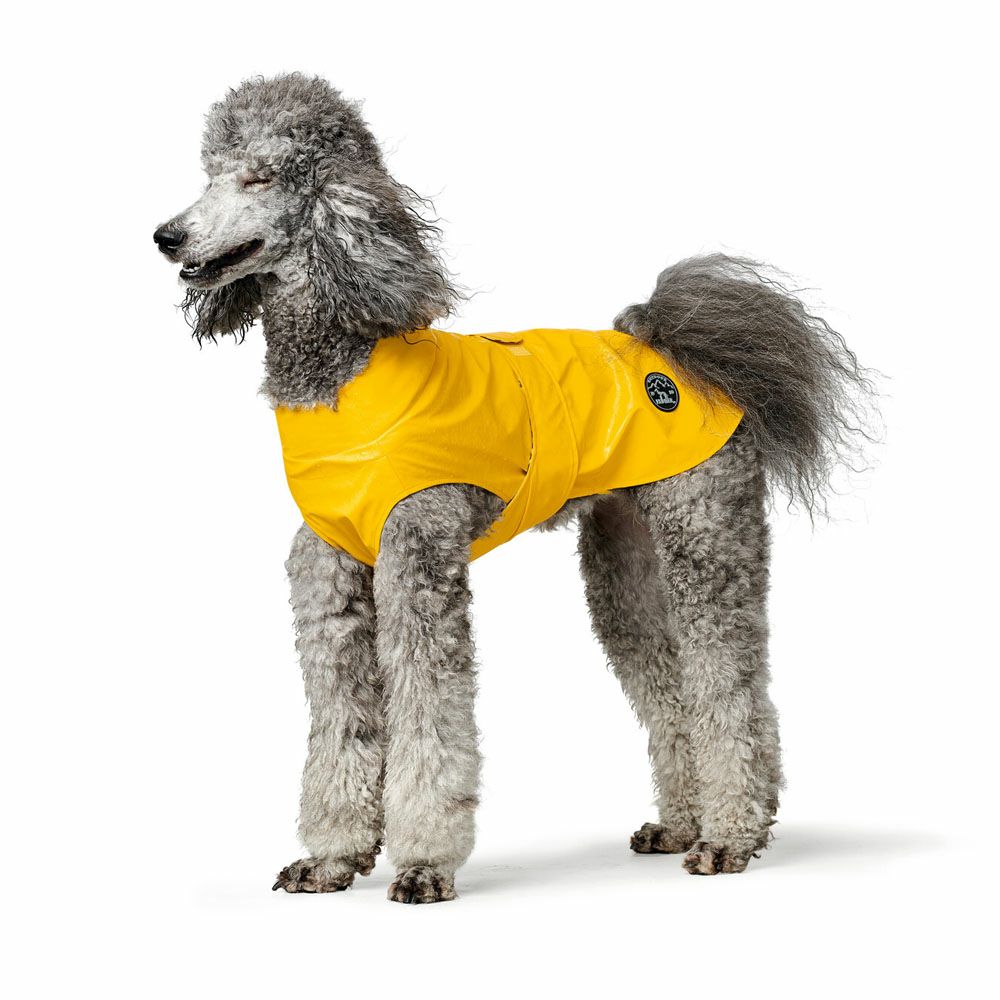 ハンター 犬用 25 コート ドイツブランド ミルフォード レインコート 合羽 小型犬 服 梅雨 超小型犬 防寒 防水 雨 発売モデル 服