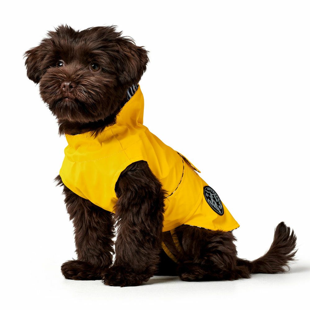 ハンター 犬用 25 コート ドイツブランド ミルフォード レインコート 合羽 小型犬 服 梅雨 超小型犬 防寒 防水 雨 発売モデル 服