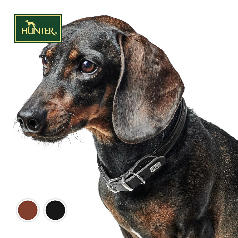 ハンター 犬用 首輪 カナディアン アップ ラウンド＆ソフト 50/M 中型犬 本革 ドイツ製 牛革 ドイツブランド しなやか ふっくら 柔らかい