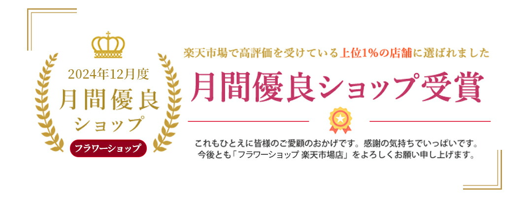 楽天市場】16インチ ビオラ 子供用ビオラ 初心者用ビオラセット