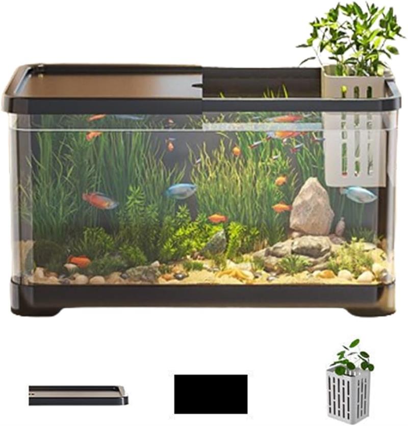 楽天市場】メダカ 金魚 水槽 金魚鉢 プラスチック 透明 メダカ鉢