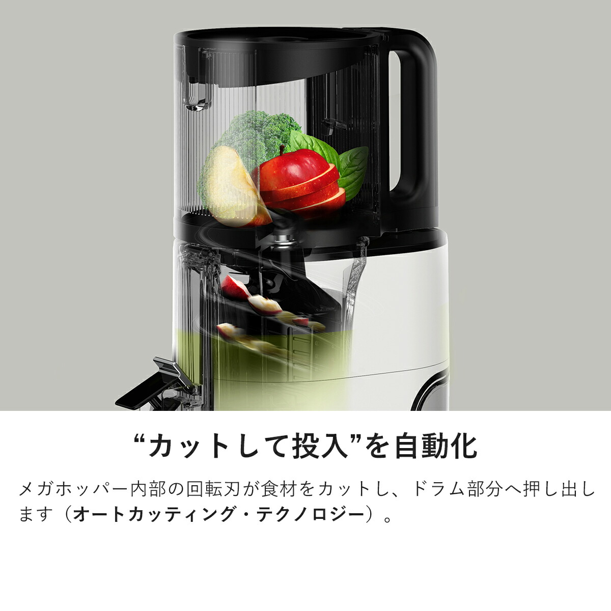 HUROM 公式】ヒューロム H400｜コールドプレスジューサー スロー