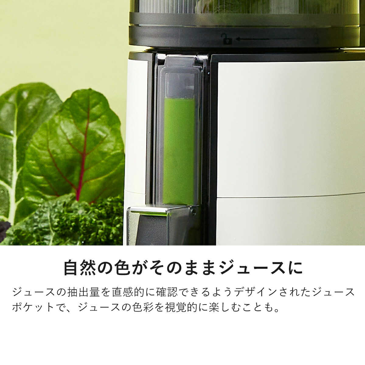 HUROM公式】コールドプレスジューサー H400｜ ヒューロム スロー