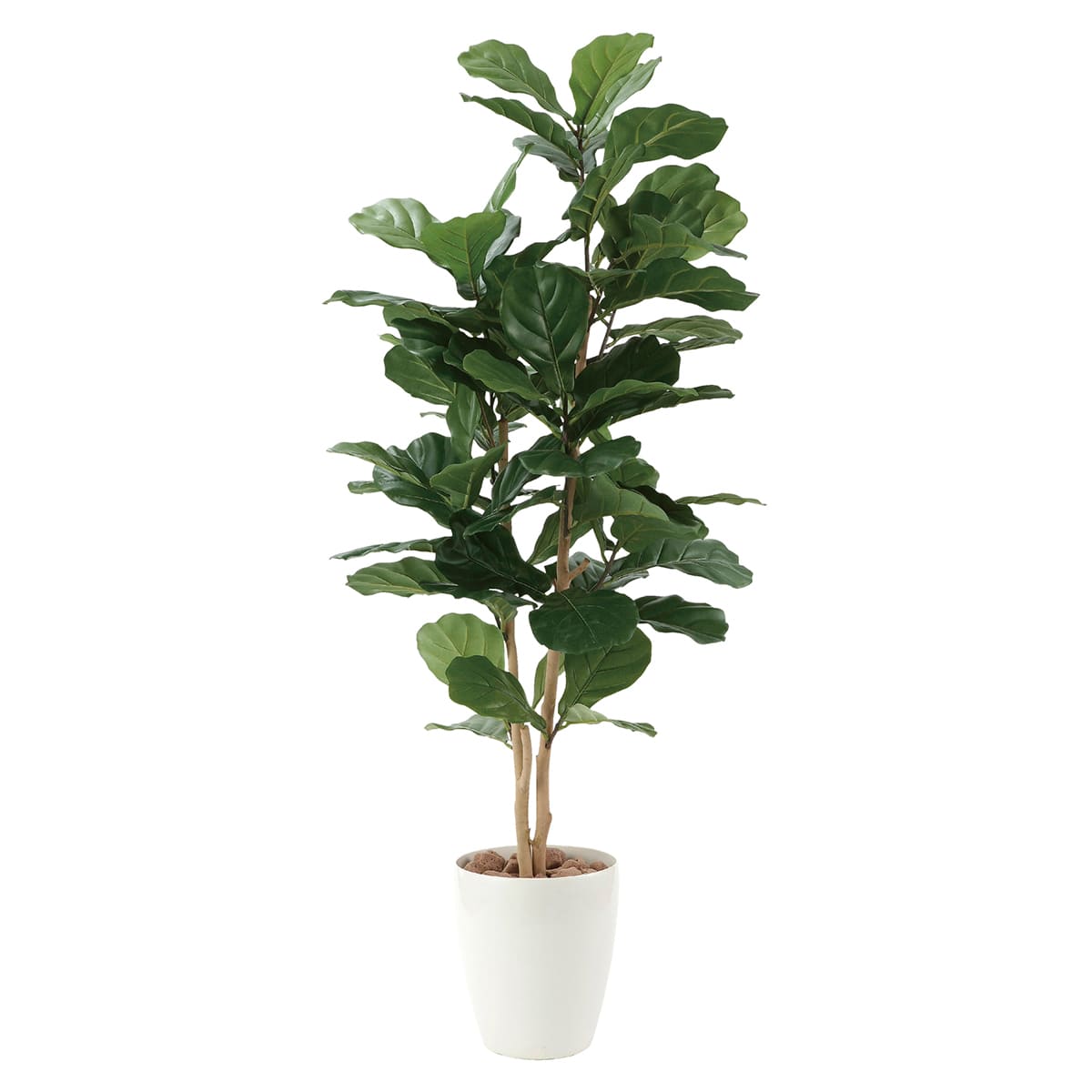 法人様限定 人工観葉植物 フェイクグリーン G-KB135 カシワバゴム1.35 弘益｜ハストネット店 28,083円