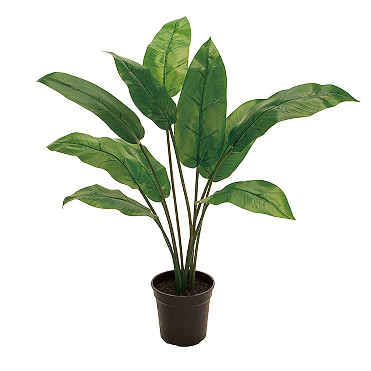 法人様限定 人工観葉植物 フェイクグリーン トラベラーズパームポットS 東京堂|ハストネット店