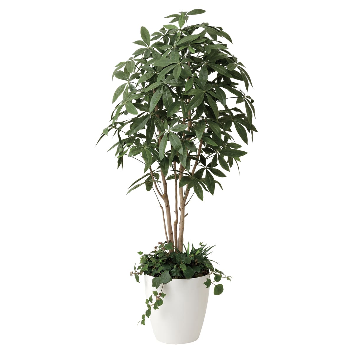 法人様限定 人工観葉植物 フェイクグリーン パキラ1.8 植栽付 412P515 アートクリエイション