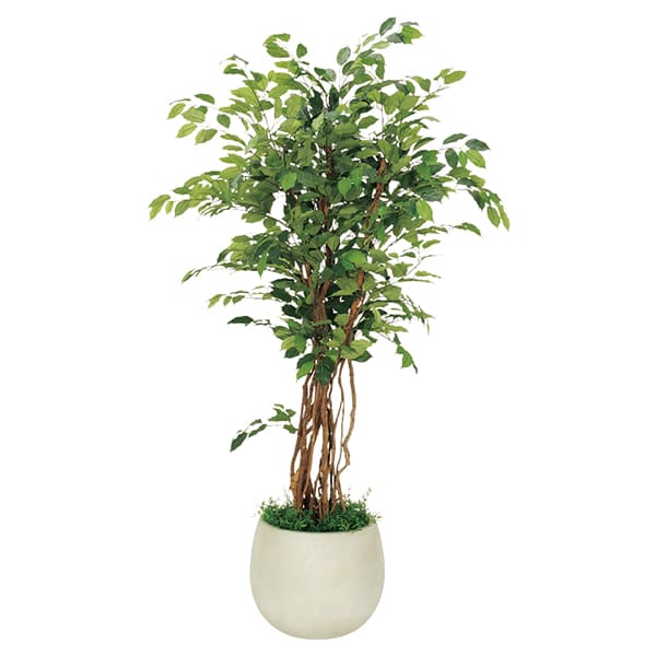 法人様限定 人工観葉植物 フェイクグリーン ボックスプランター フィカスベンジャミン H1900 GR5006 ベルク|ハストネット店